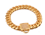 Gold Stainless Steel Titanium Chain Necklace