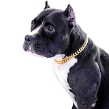 PP COLOR Gold Chain Dog Collar-15mm Cute Dog Collar Pet Gold Necklace Bulldog Light Metal Puppy Jewelry 17" Chain Puppy Costume