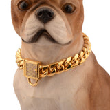 Gold Stainless Steel Titanium Chain Necklace