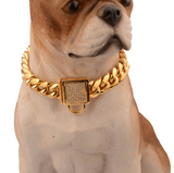 Gold Stainless Steel Titanium Chain Necklace