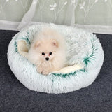 Cozy Convertible Pet Bed